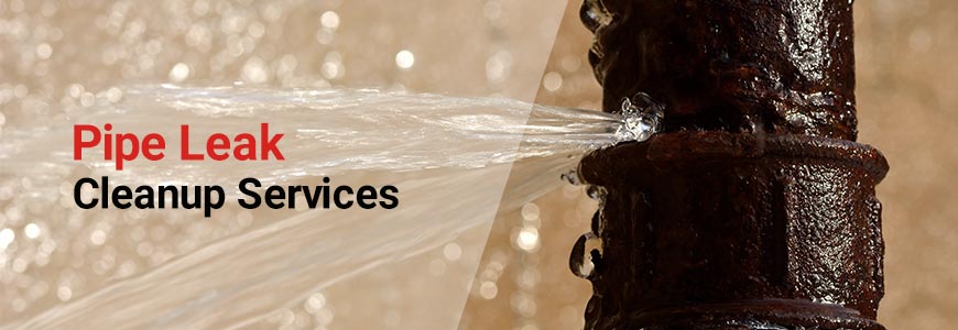 pipe leak cleanup services