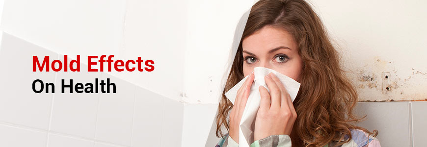 mold effects on health