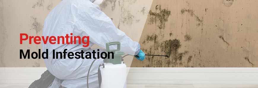 preventing mold infestation