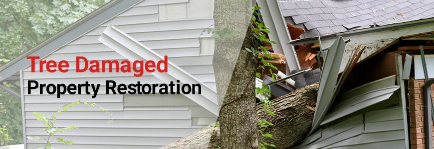 tree damage restoration