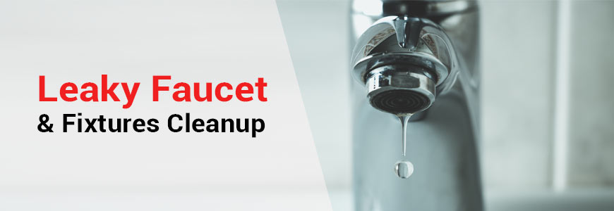leaky faucet and fixtures