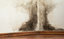 How to Dry Walls After Water Damage