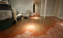 Safety Hazards and Health Risks from Indoor Flood