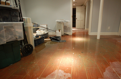 Safety Hazards and Health Risks from Indoor Flood
