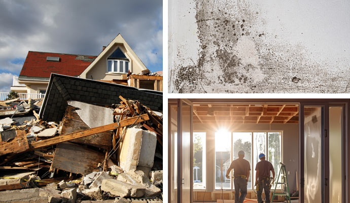 Disaster damage, mold, and construction services