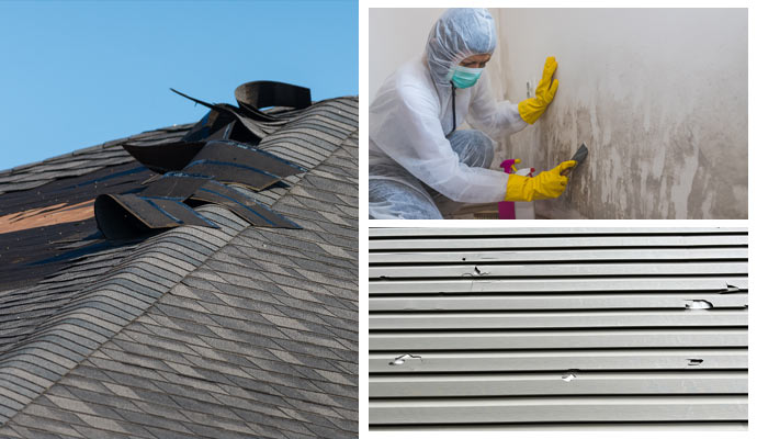 wind damage, hail damage and mold remediation